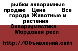 рыбки акваримные продаю › Цена ­ 30 - Все города Животные и растения » Аквариумистика   . Мордовия респ.